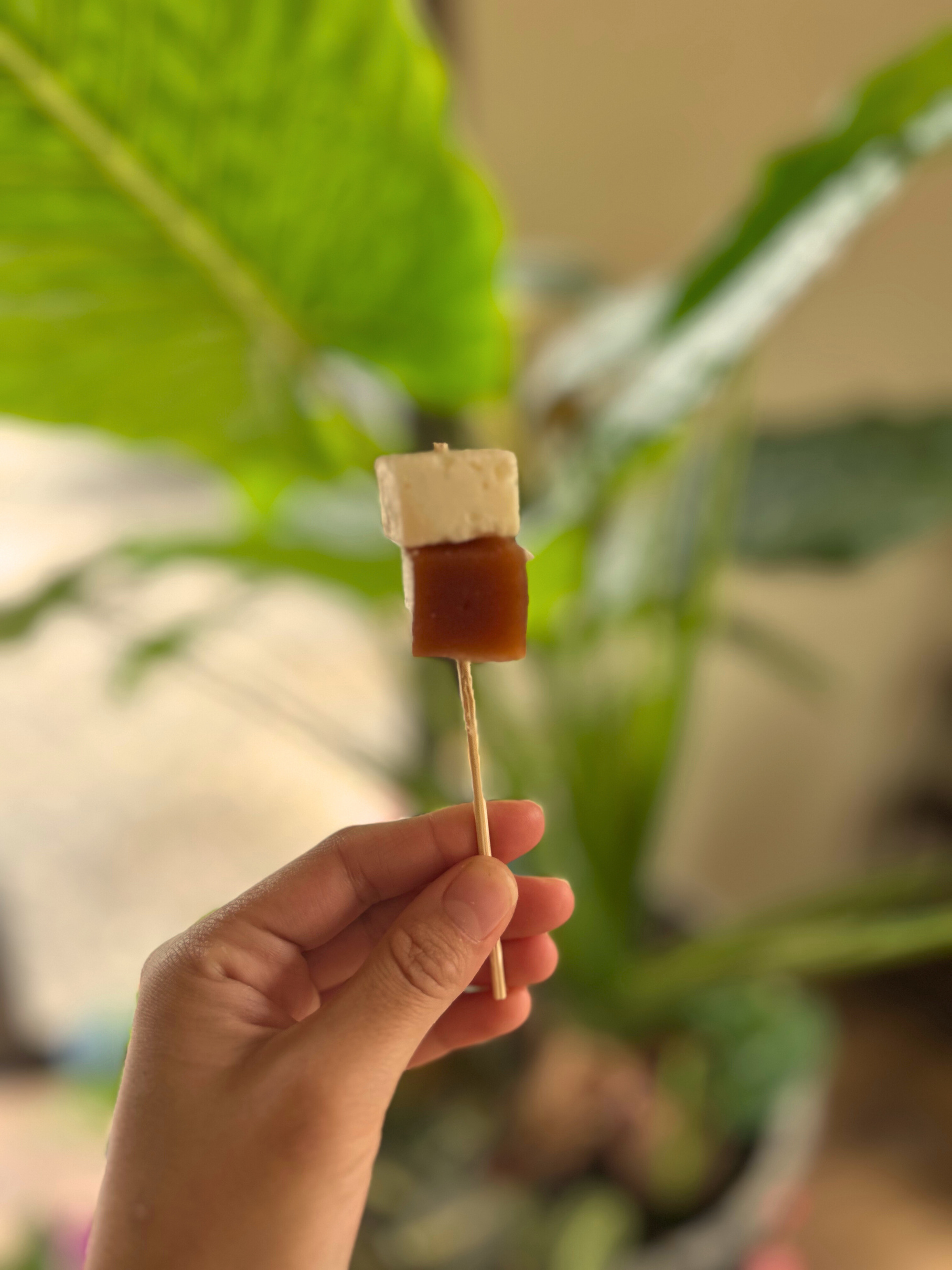 Pinchos Thai NatyArte