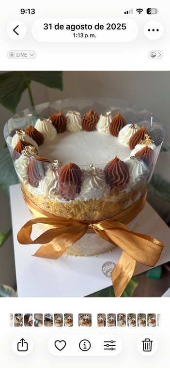 Torta Decorada 30 Porciones NatyArte